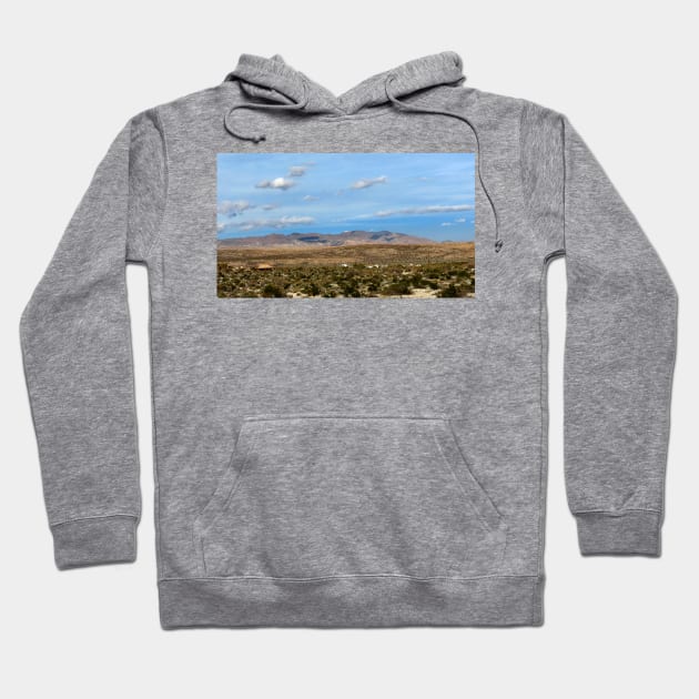 Anza Borrego Desert State Park Hoodie by supernova23